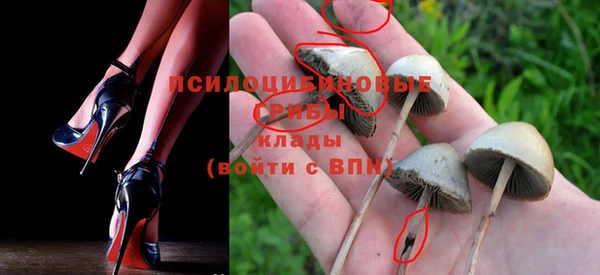 мдпв Кинешма