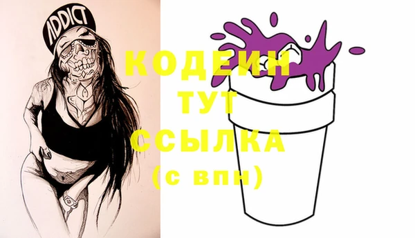 мдпв Кинешма