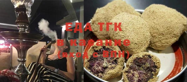 дурь Инта