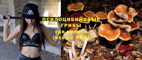 дмт Касимов