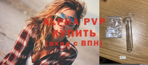 дурь Инта