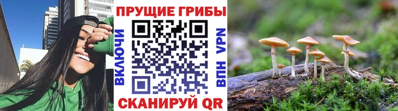Псилоцибиновые грибы MAGIC MUSHROOMS  Купить закладки  Коряжма 