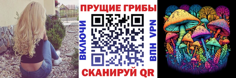 Галлюциногенные грибы ЛСД Коряжма